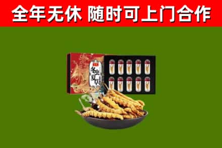 保定回收冬虫夏草价格